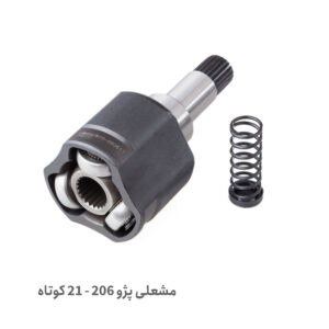 مشعلی 21 خار کوتاه 206 - مشعلی 206 کوتاه 21 خار -